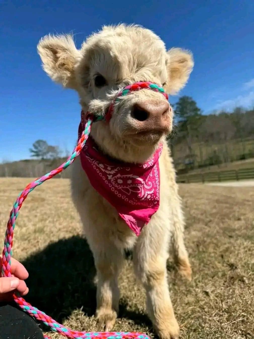 434466754_305664545875500_7368782243076617970_n