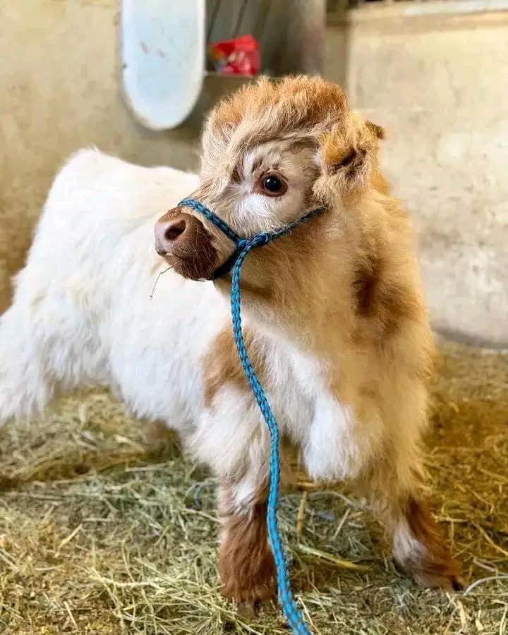 436292637_306581345783820_3139334483838883624_n