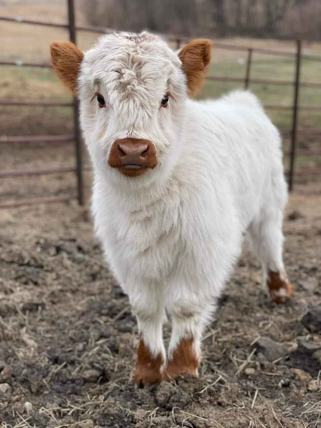 438174299_321593414282613_6140328859226437878_n