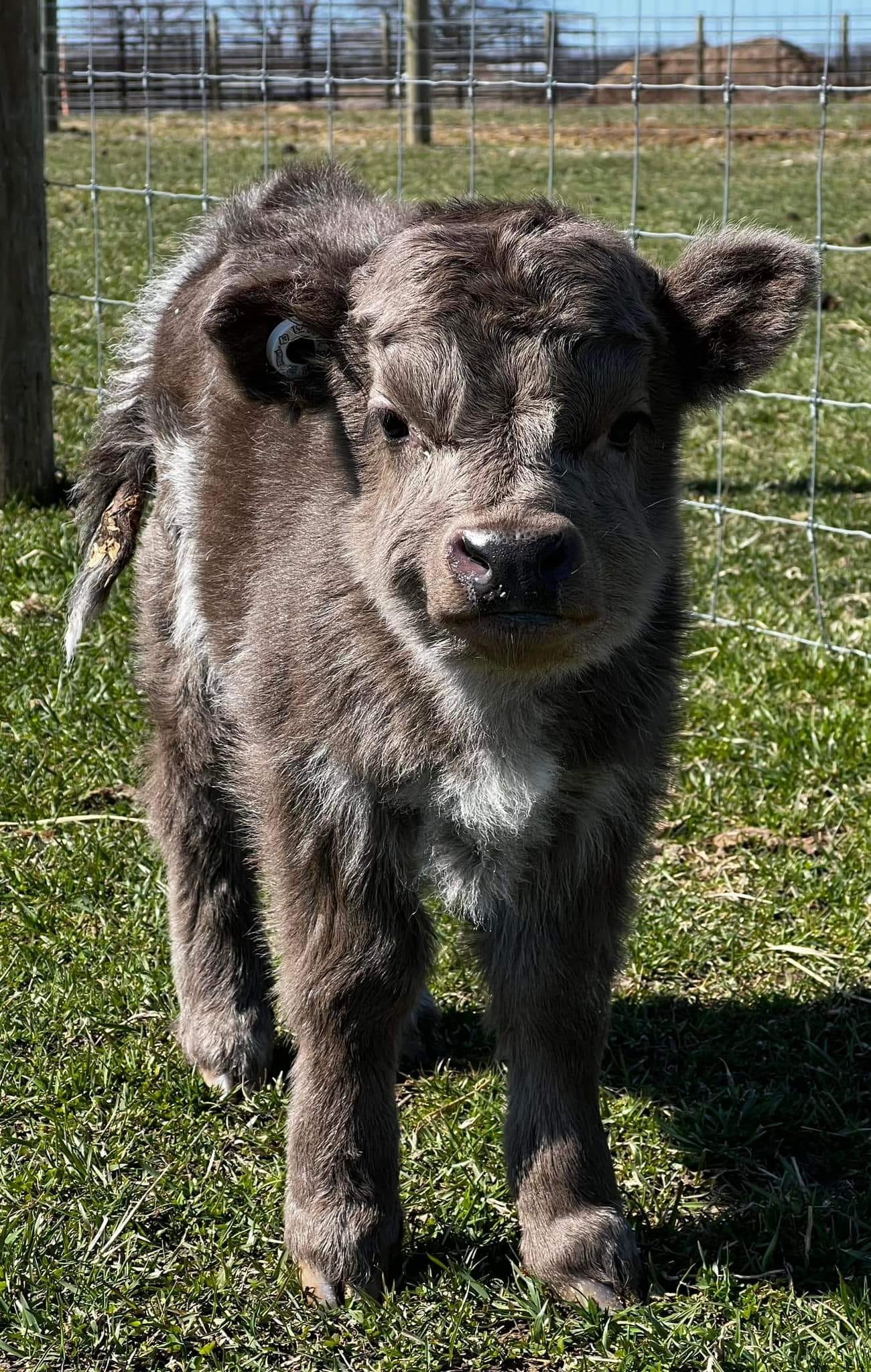 468478535_460914050350548_4556586729079971019_n