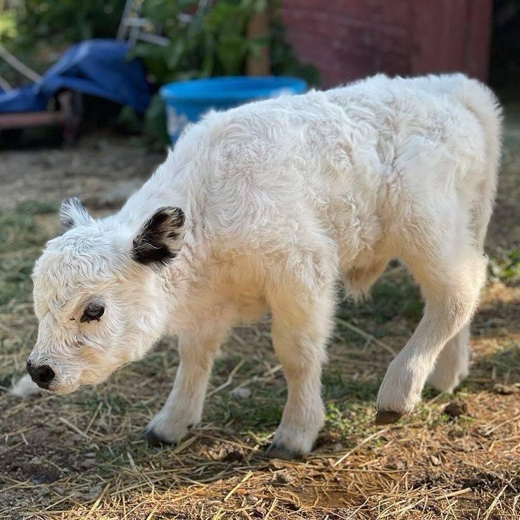 468478535_460914050350548_4556586729079971019_n