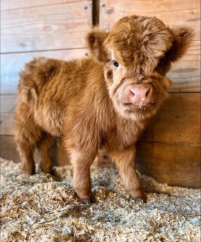 438174299_321593414282613_6140328859226437878_n